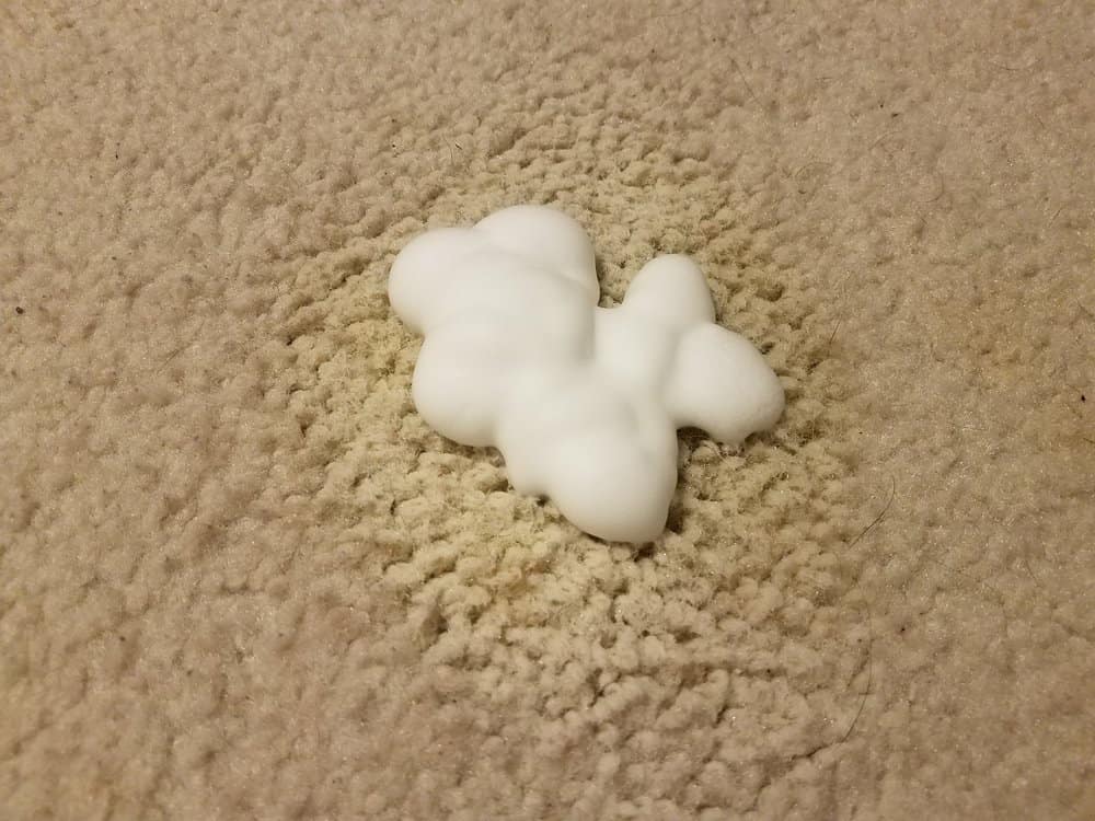 foam spray over pee on carpet