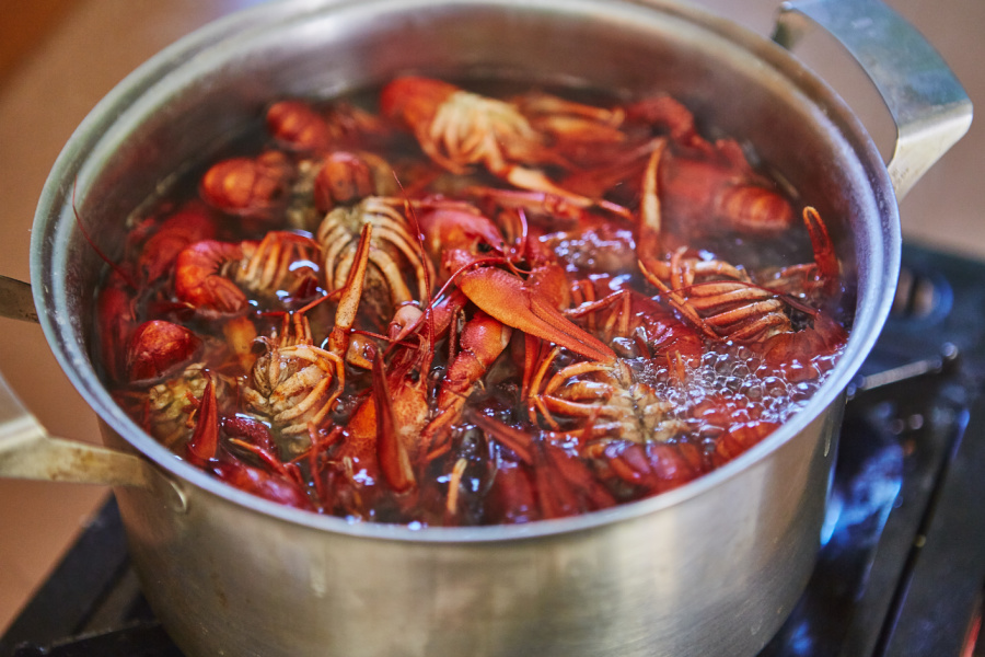 crawfish boiling in a pot